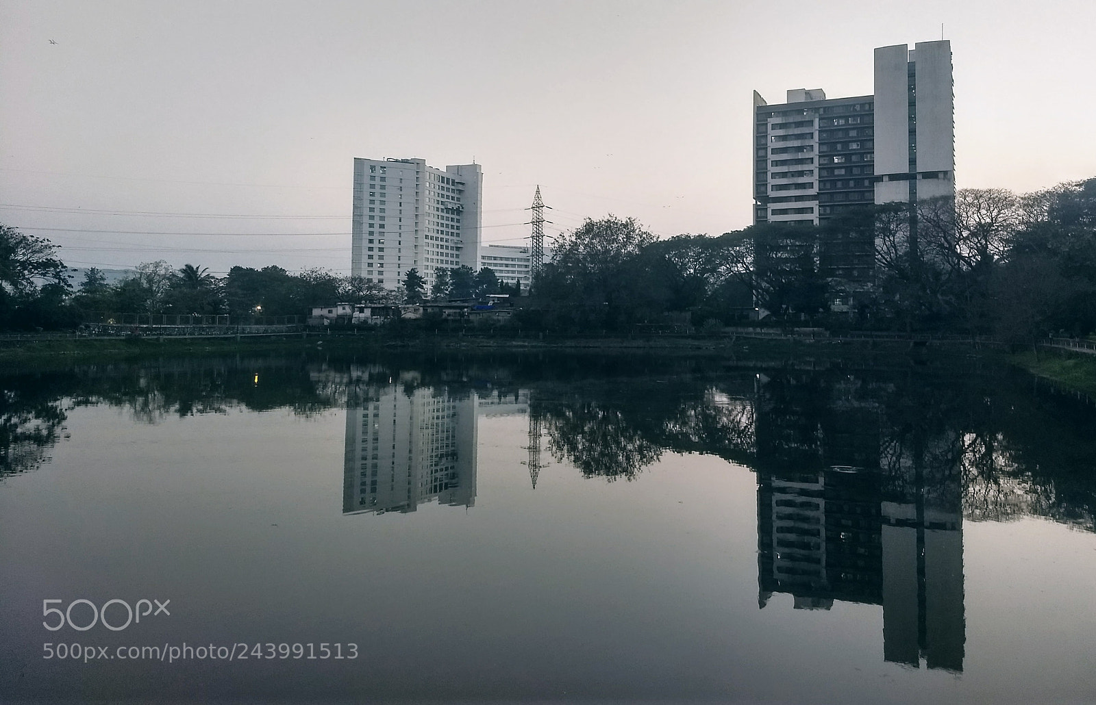 Motorola Moto G (5) Plus sample photo. Consonance photography
