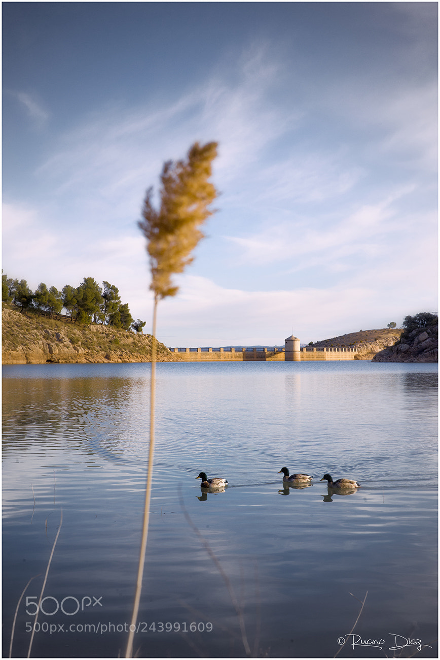Nikon D610 sample photo. El trio photography