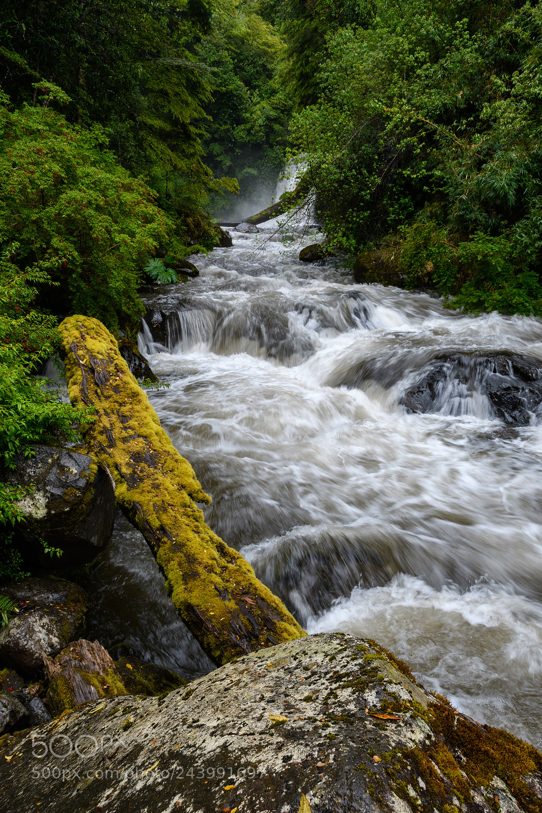 Nikon D7500 sample photo. Anticura rapidos photography