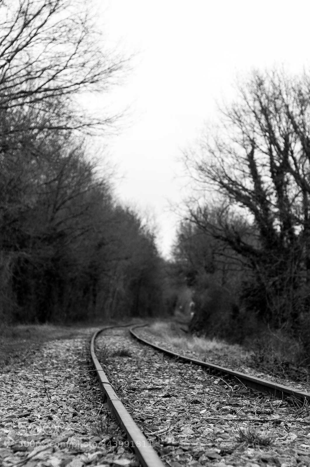 Nikon D300 sample photo. Rail photography