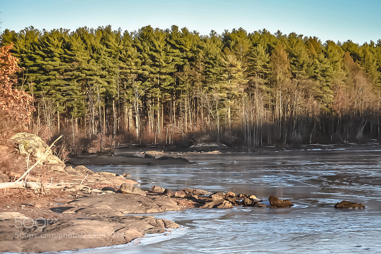 Nikon D7200 sample photo. Shadow photography
