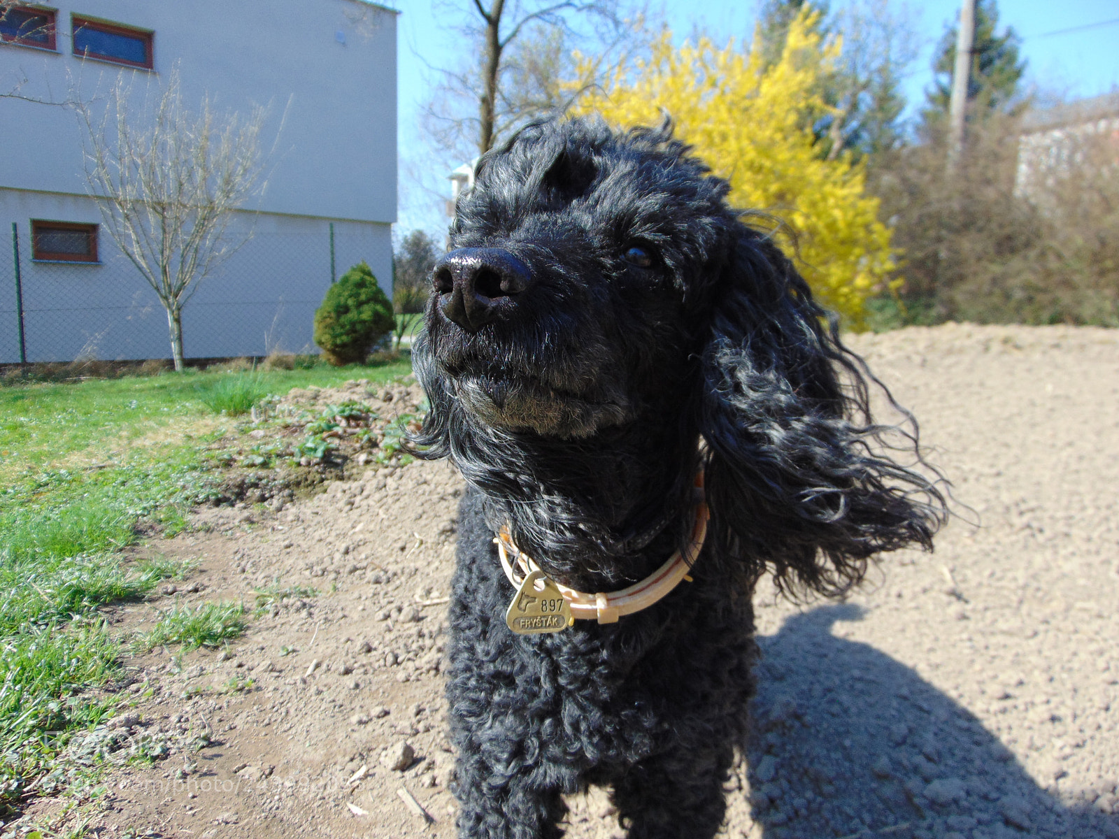 Sony Cyber-shot DSC-H300 sample photo. Dsc photography