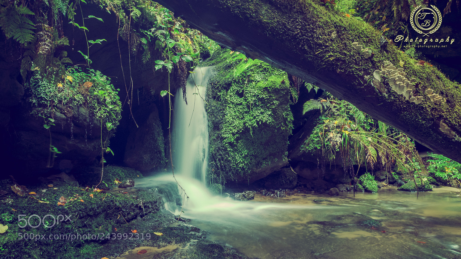 Nikon D7200 sample photo. Kleiner wasserfall in den photography