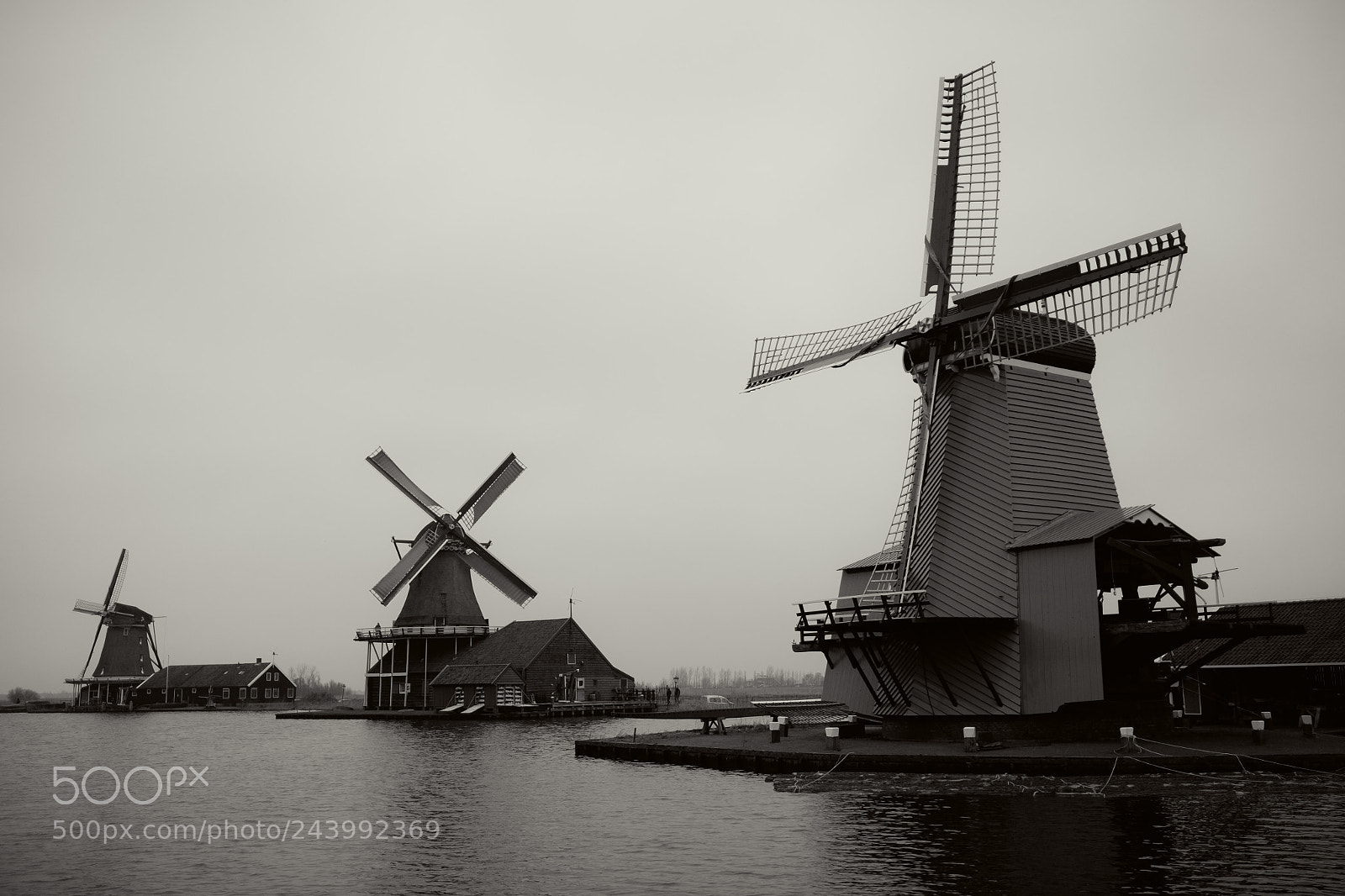 Fujifilm X-T10 sample photo. Mills photography
