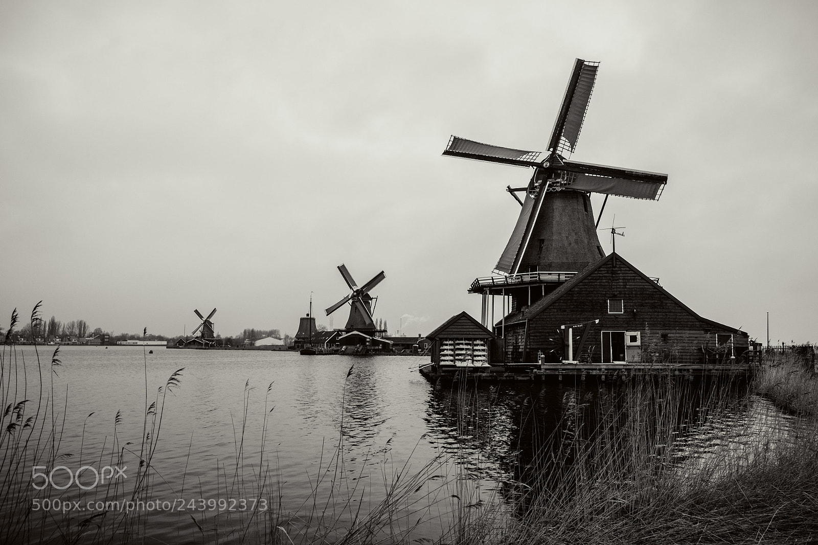 Fujifilm X-T10 sample photo. Mills photography