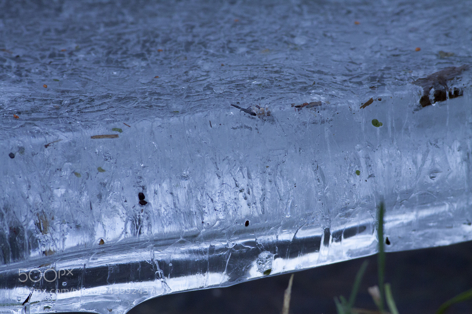 Canon EOS 50D sample photo. The ice on the photography