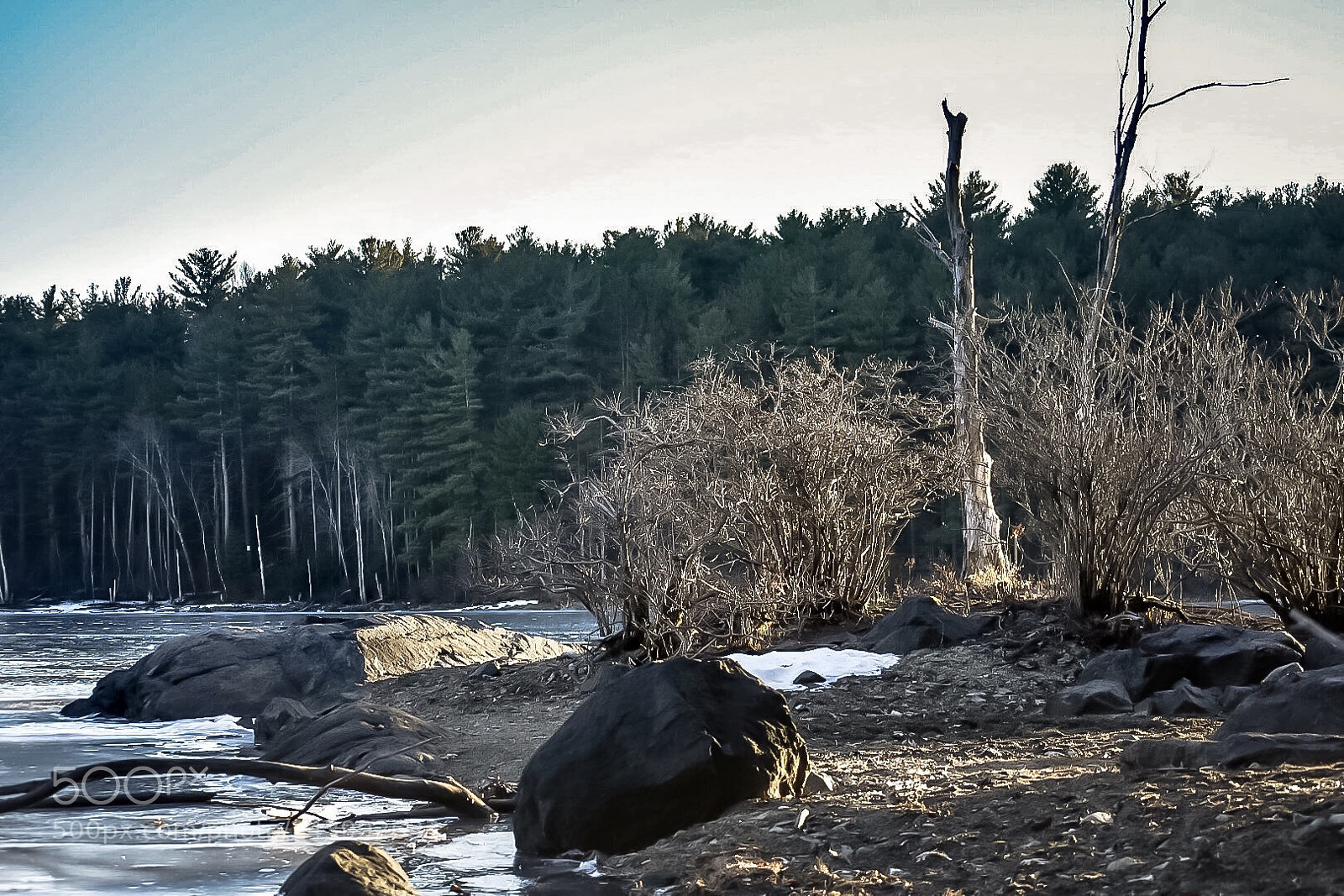 Nikon D7200 sample photo. Untitled4 photography