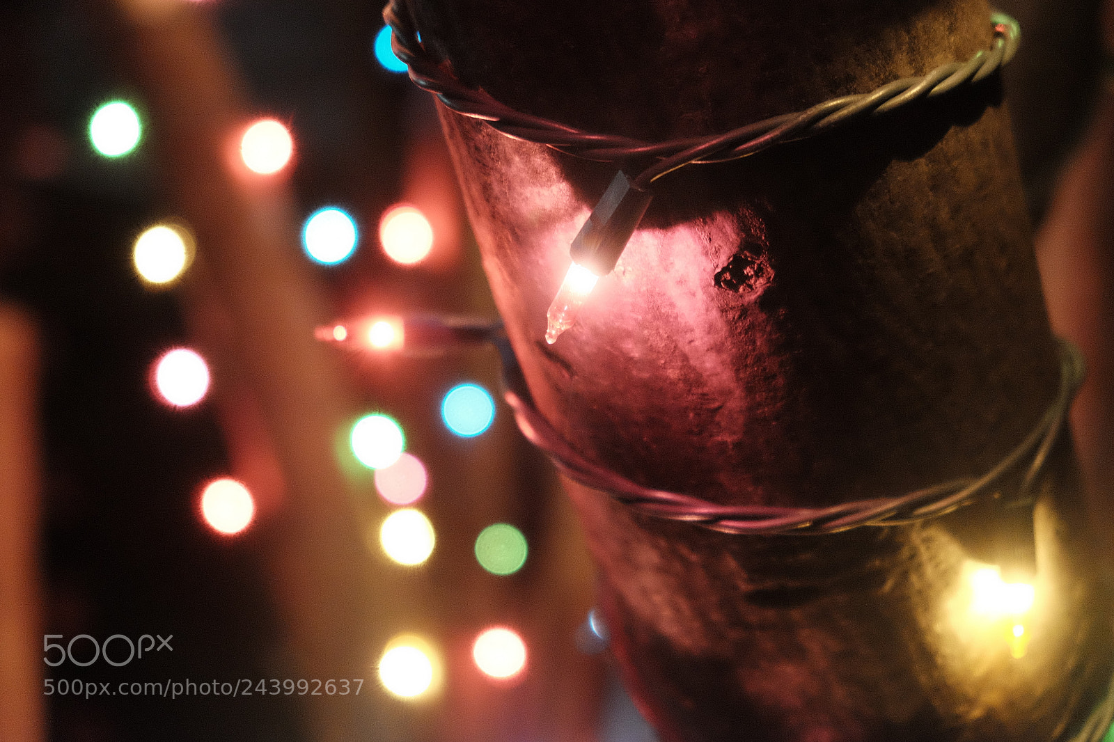 Fujifilm X-T1 sample photo. Christmas lights photography