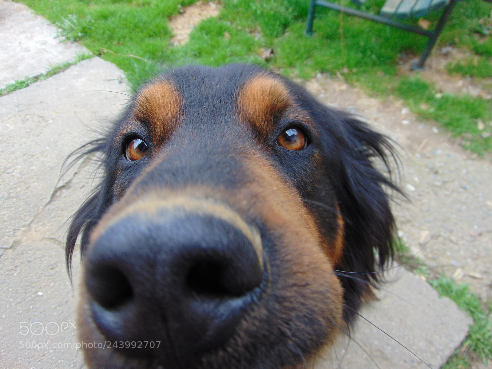 Sony Cyber-shot DSC-H300 sample photo. Dsc photography