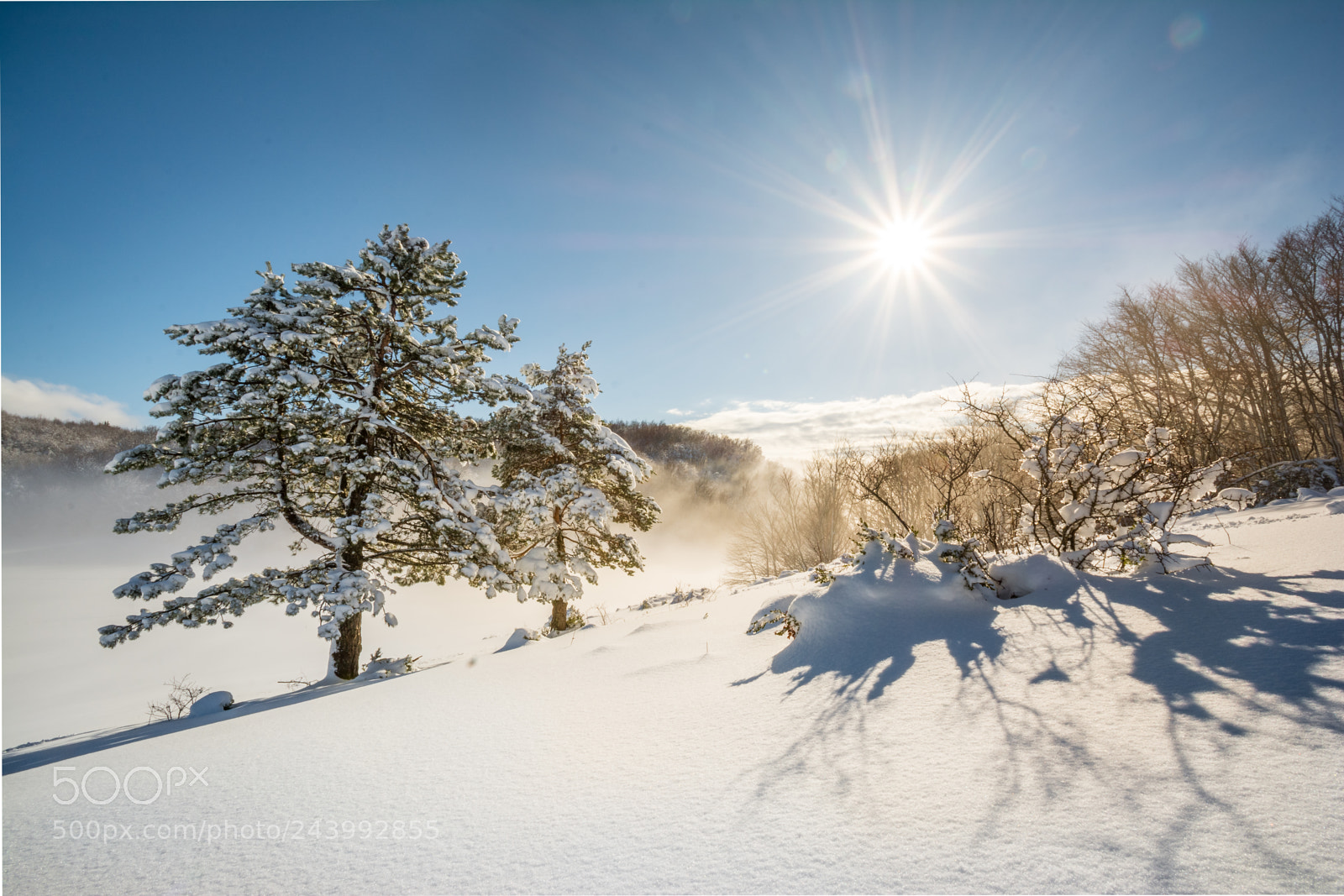 Nikon D7100 sample photo. Beau soleil et neige photography