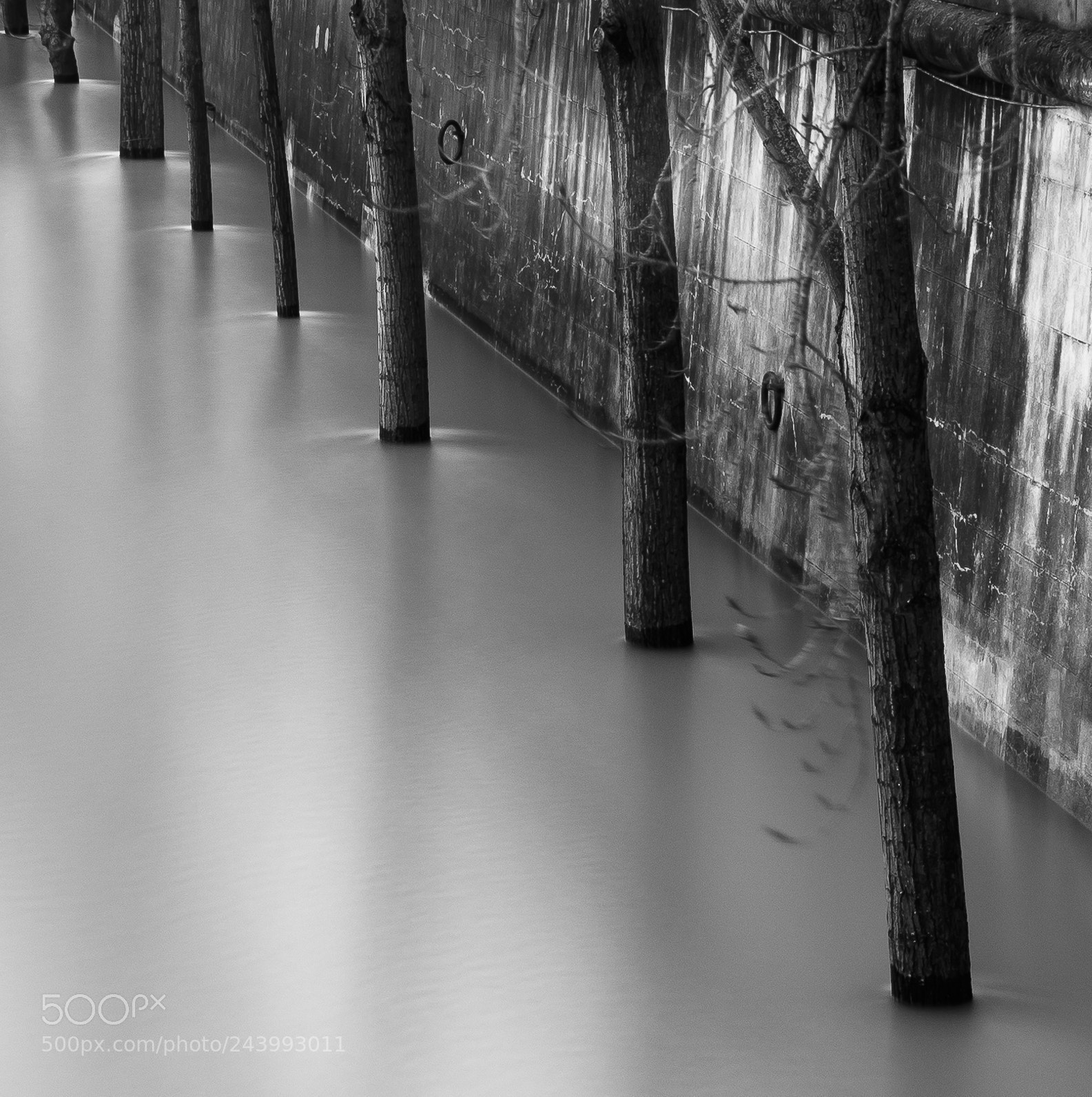 Nikon D810 sample photo. Seine iv photography