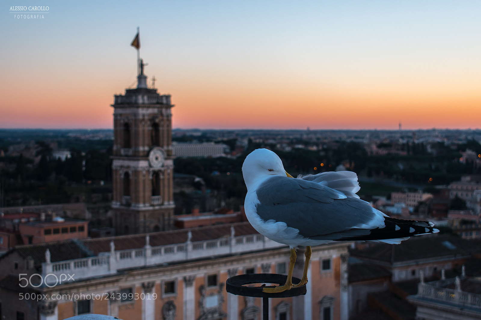Nikon D5500 sample photo. Roma photography