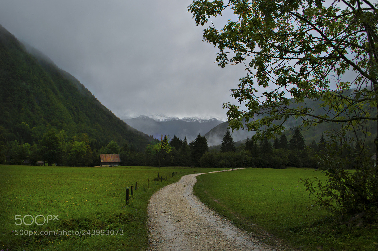 Nikon D3100 sample photo. Rainy photography