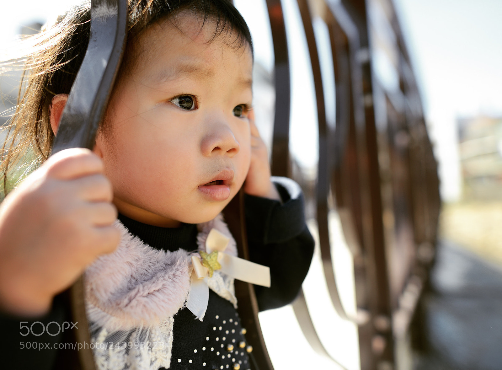 Nikon D800 sample photo. Untitled photography