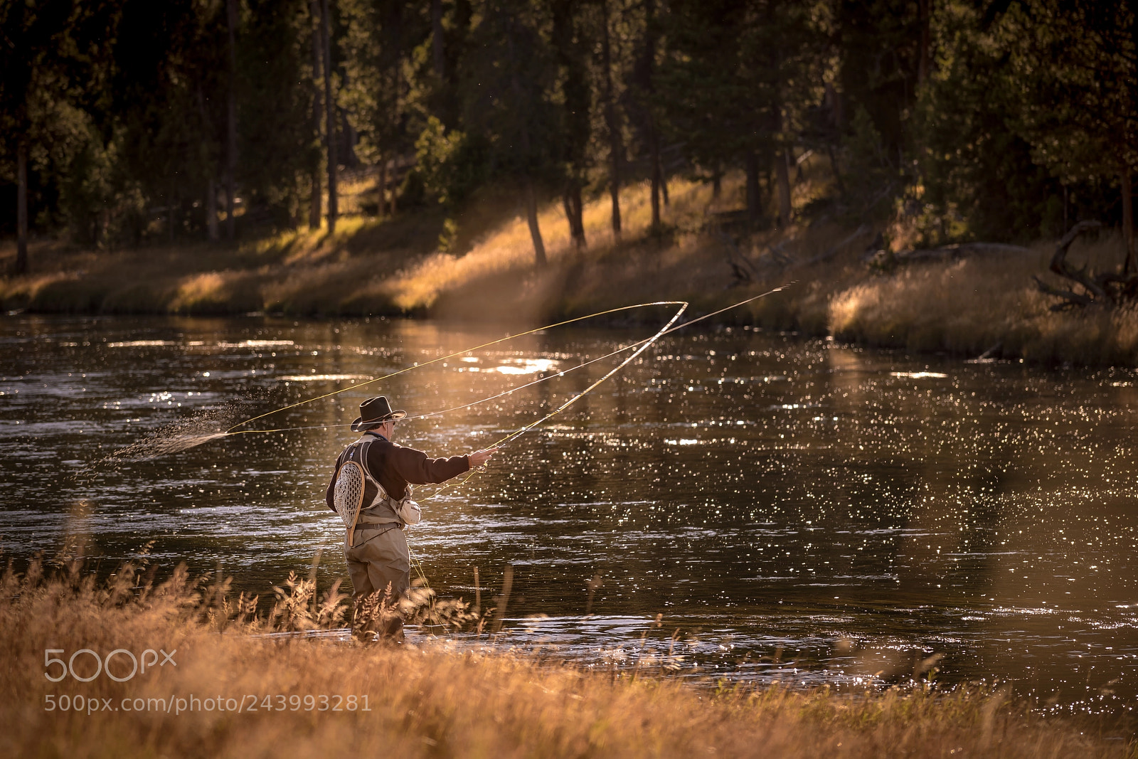 Sony a7R II sample photo. A river runs through photography