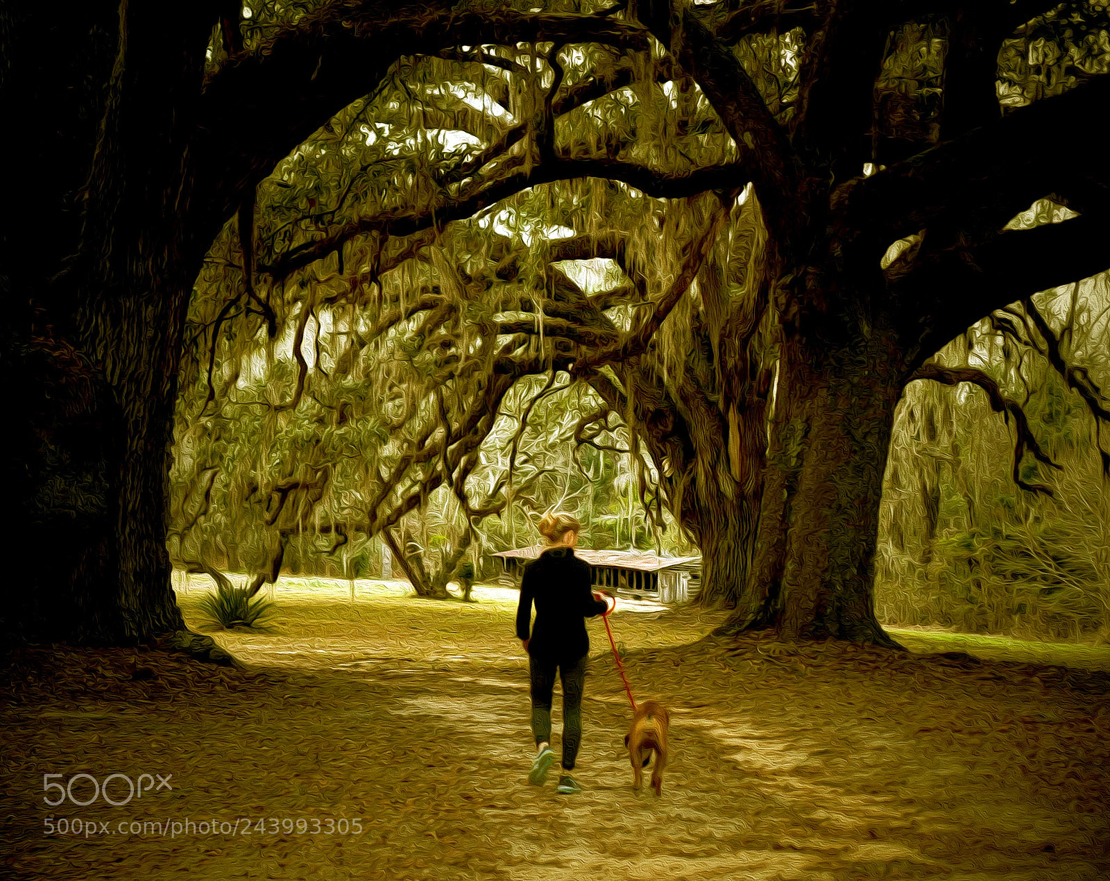 Nikon D810 sample photo. Untitled photography