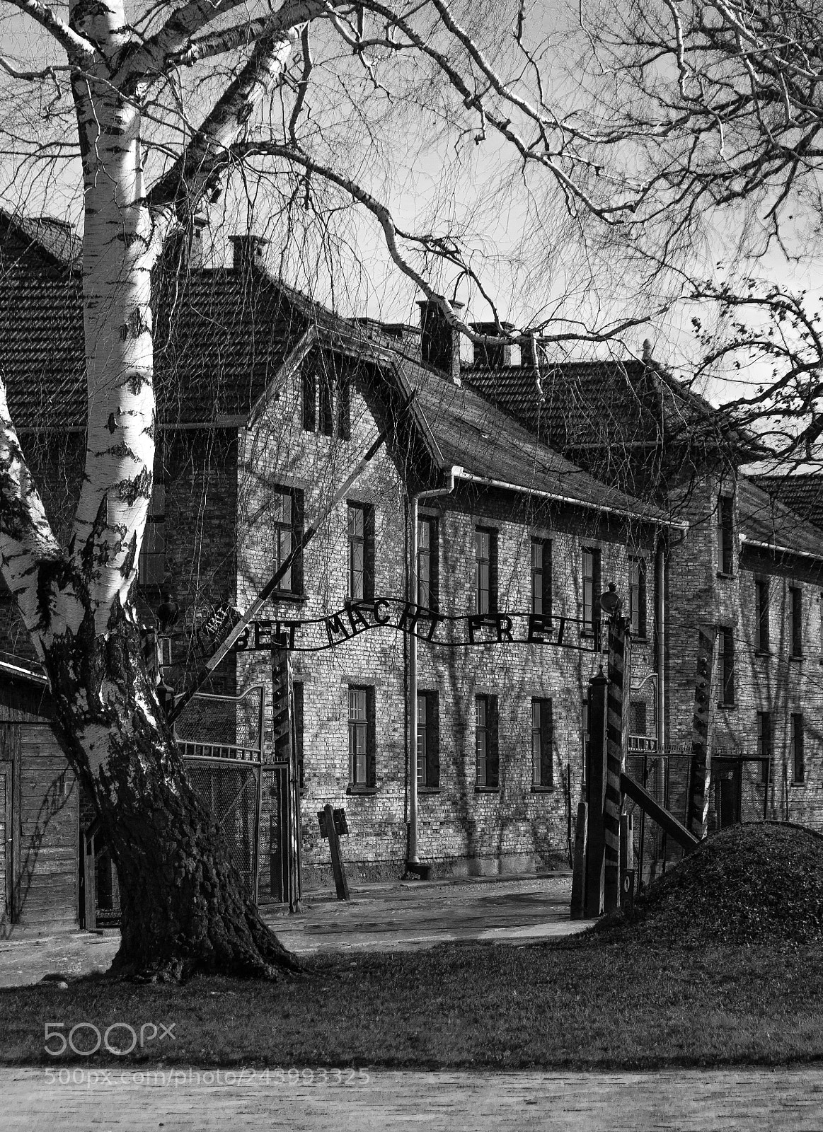 Nikon D3100 sample photo. Holocaust remembrance day photography