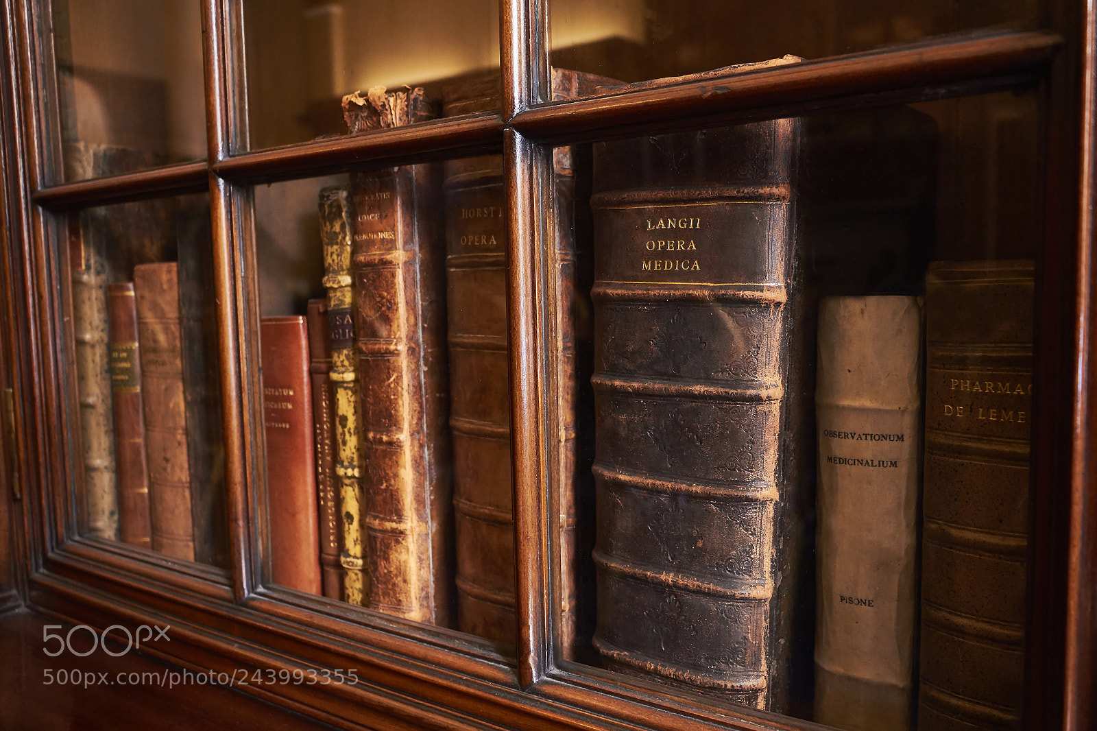 Canon EOS 650D (EOS Rebel T4i / EOS Kiss X6i) sample photo. Langii opera medica photography