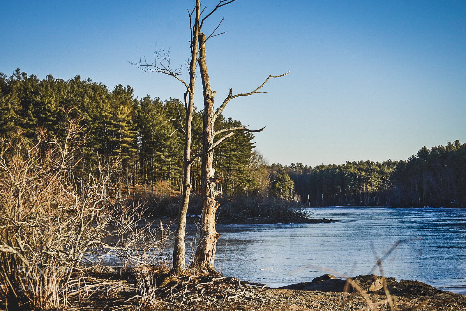 Nikon D7200 sample photo. Two of the same photography