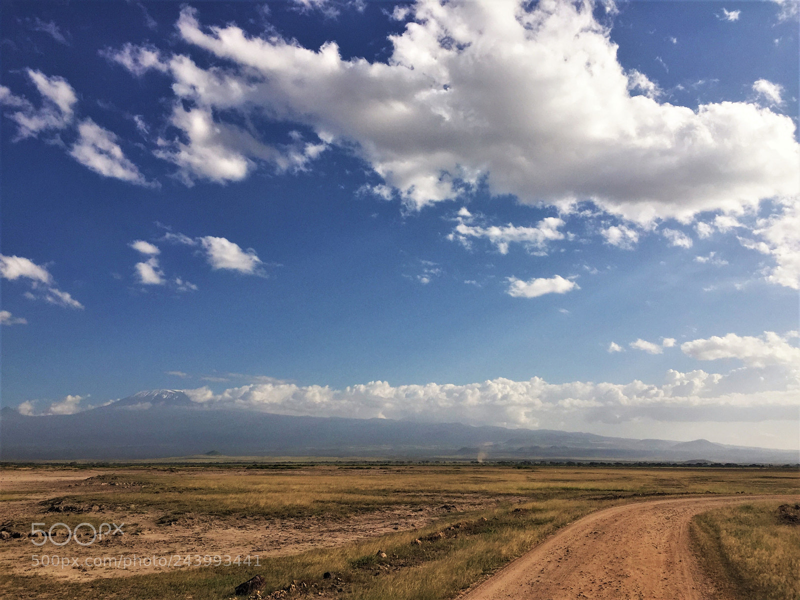 Apple iPhone 6 sample photo. B photography