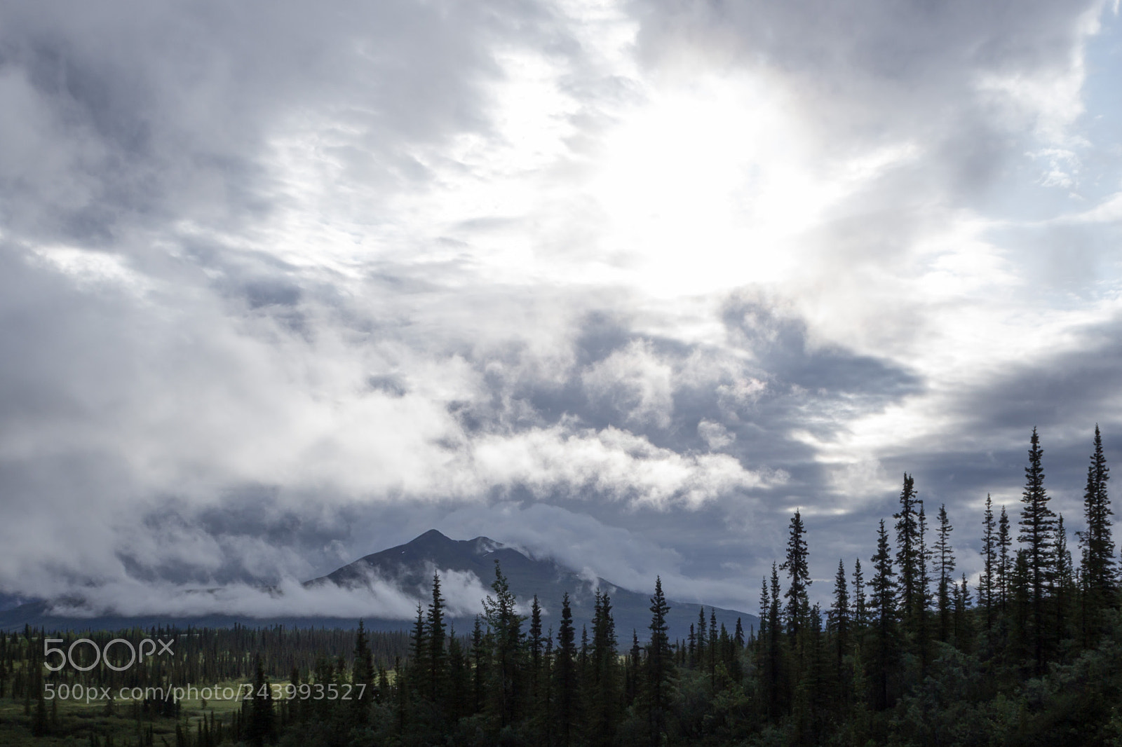 Canon EOS 600D (Rebel EOS T3i / EOS Kiss X5) sample photo. Alaskan sky photography