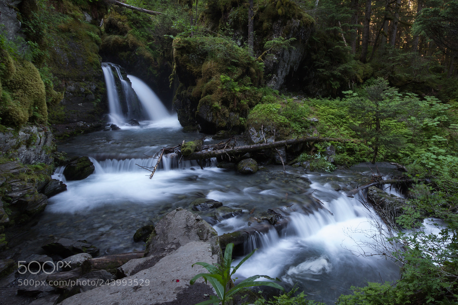 Canon EOS 600D (Rebel EOS T3i / EOS Kiss X5) sample photo. Virgin falls photography