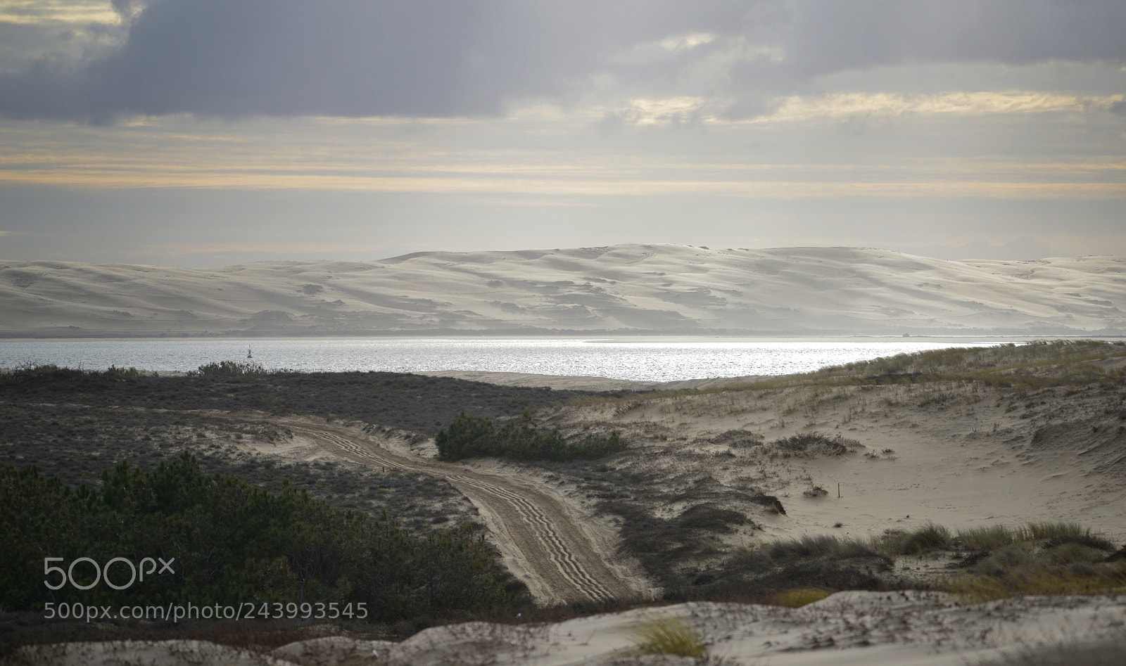 Nikon D800 sample photo. Dune du pyla photography