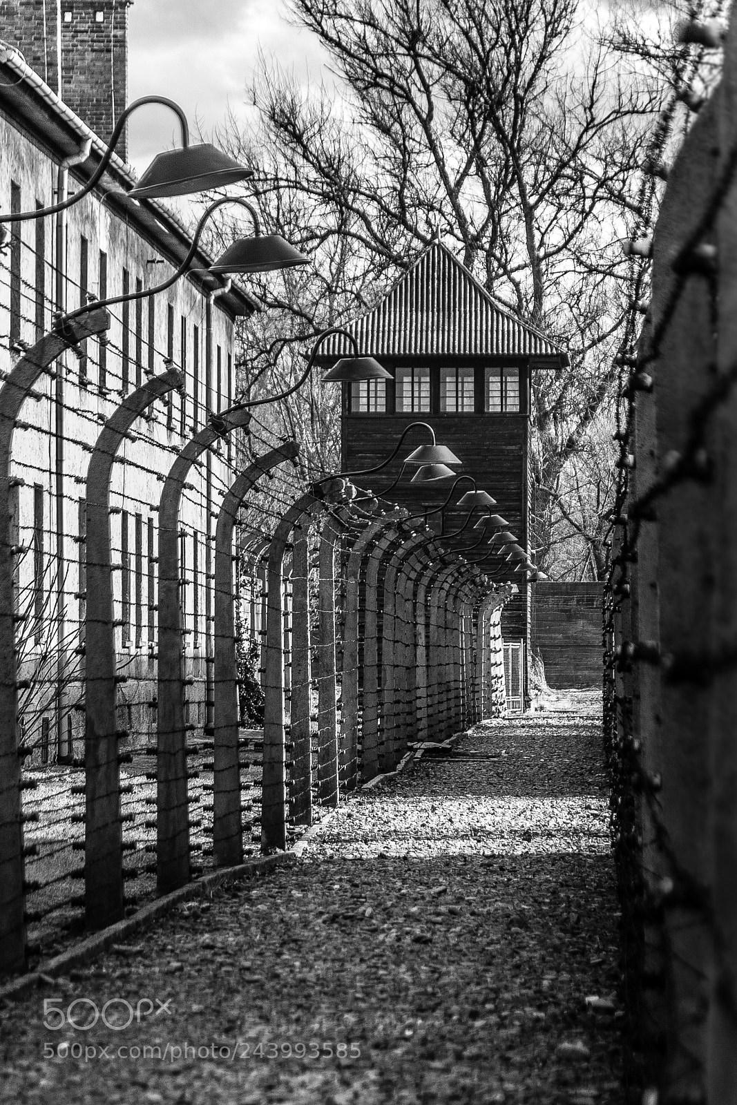 Nikon D3100 sample photo. Holocaust remembrance day photography