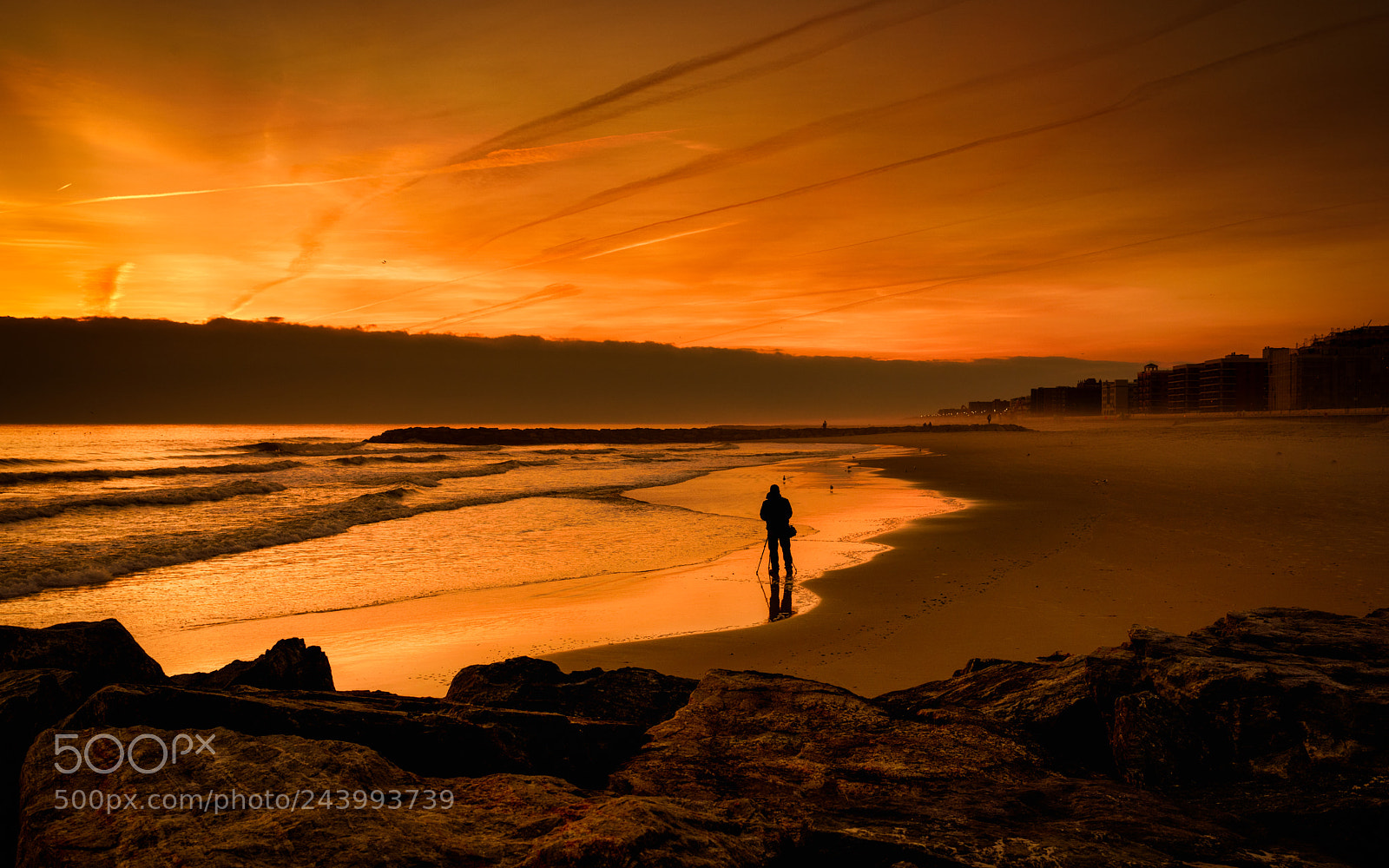 Nikon D810 sample photo. Lone photographer photography