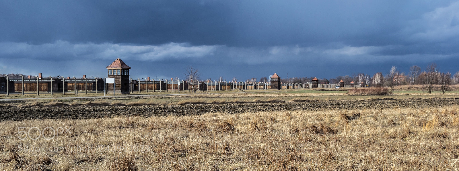 Nikon D3100 sample photo. Holocaust remembrance day photography