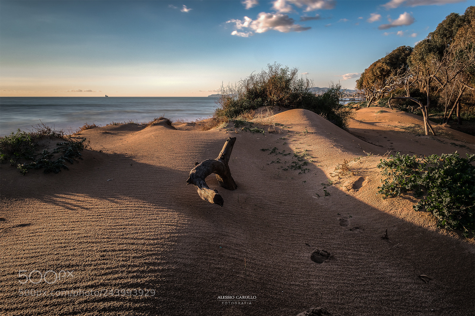 Nikon D5500 sample photo. Dune di san leone photography