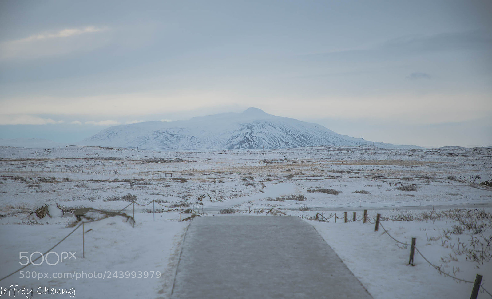Sony a7R II sample photo. The winter path photography