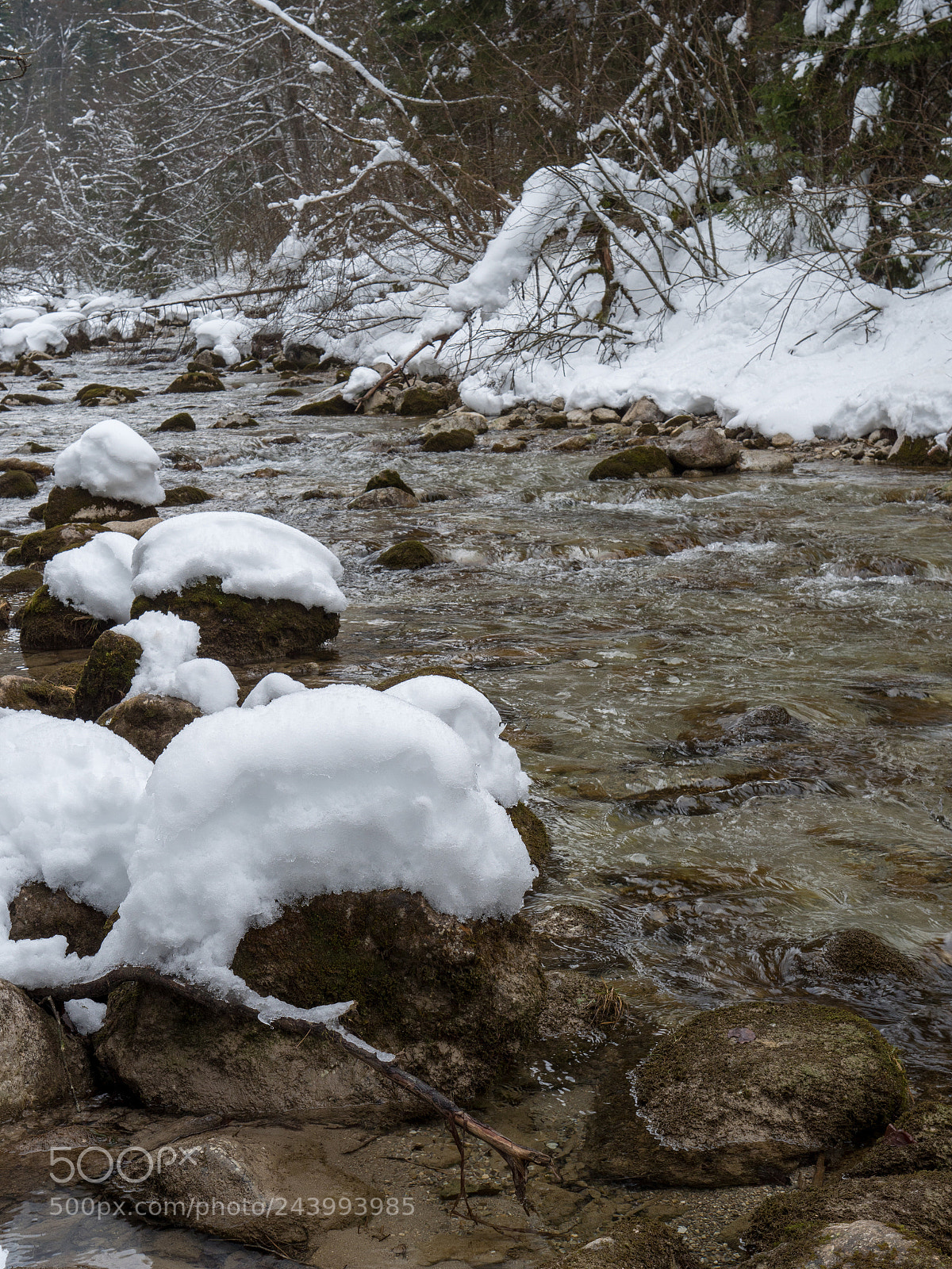 Panasonic Lumix DC-G9 sample photo. Bavarian winter photography