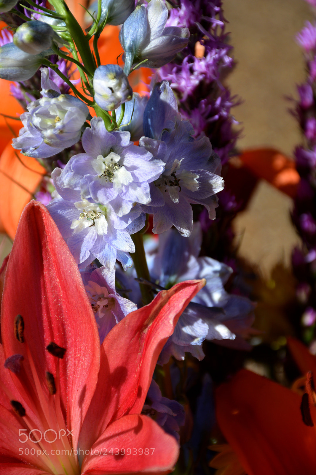 Nikon D7100 sample photo. Sunlit bouquet photography