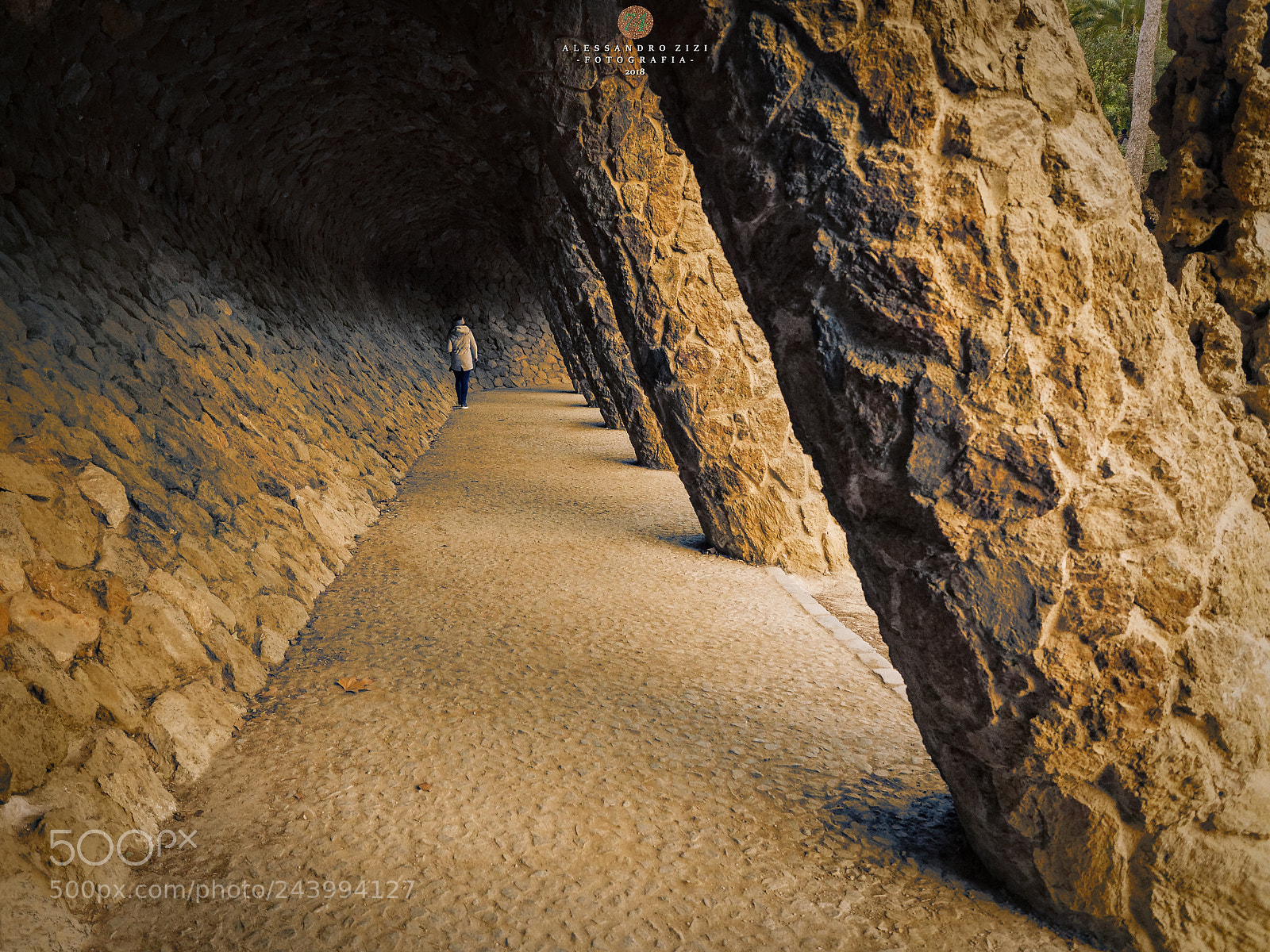 Olympus OM-D E-M5 II sample photo. Under the park guell. photography