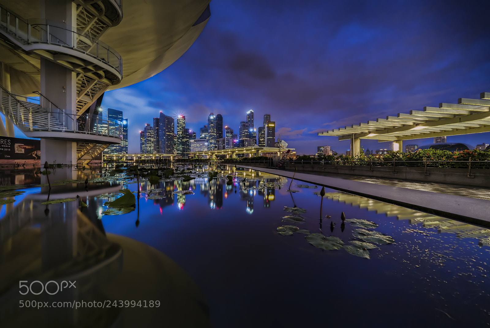 Sony a7R II sample photo. Art science museum photography