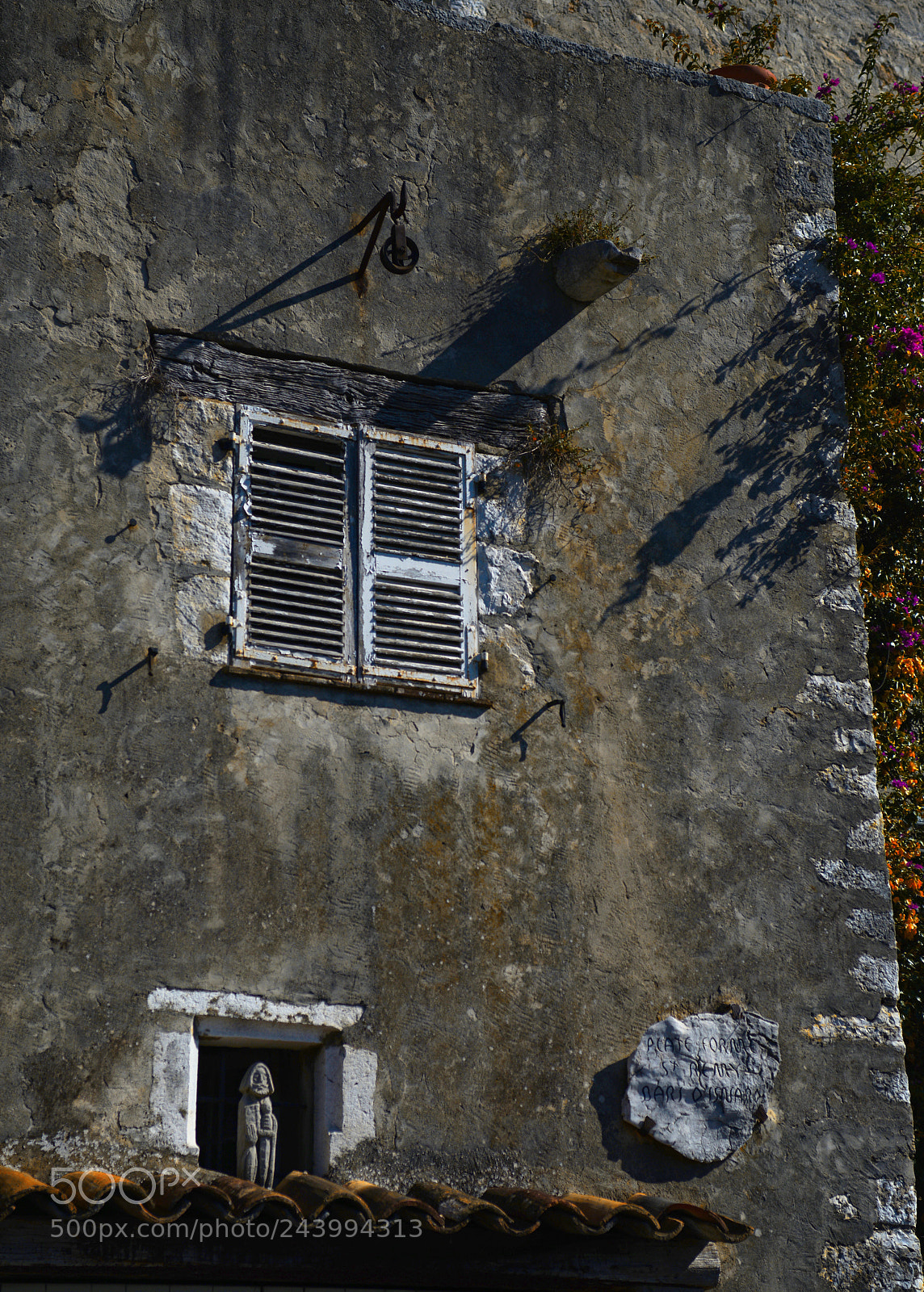 Nikon D600 sample photo. The wall photography