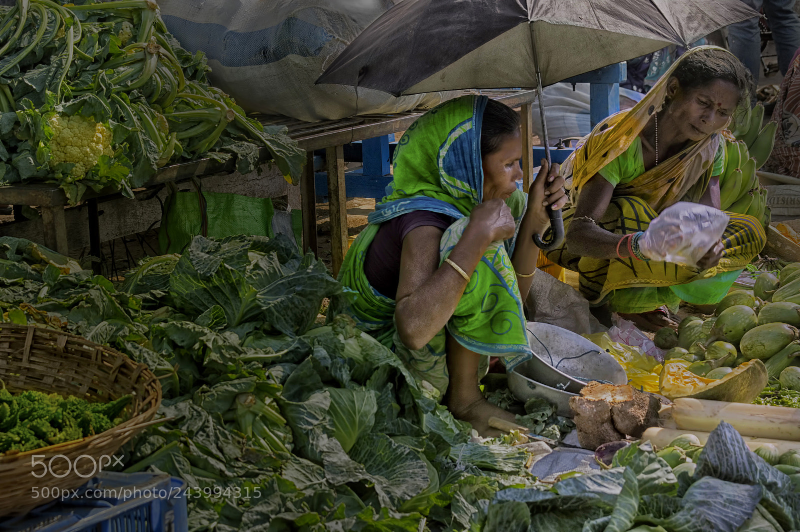 Sony Alpha DSLR-A580 sample photo. Green market photography