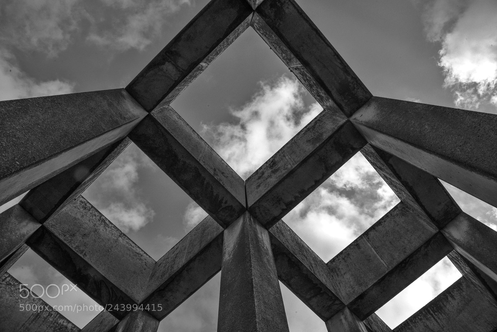 Nikon D800 sample photo. View to the sky photography