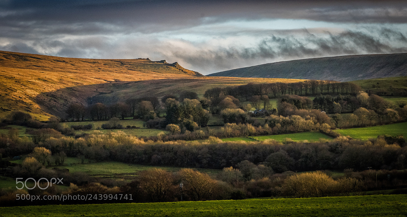 Nikon D810 sample photo. North dartmoor in evening photography