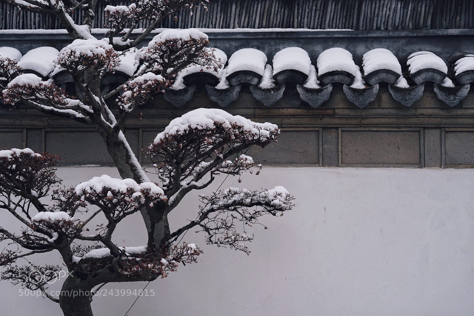 Sony a7 II sample photo. 2018第一场雪 photography