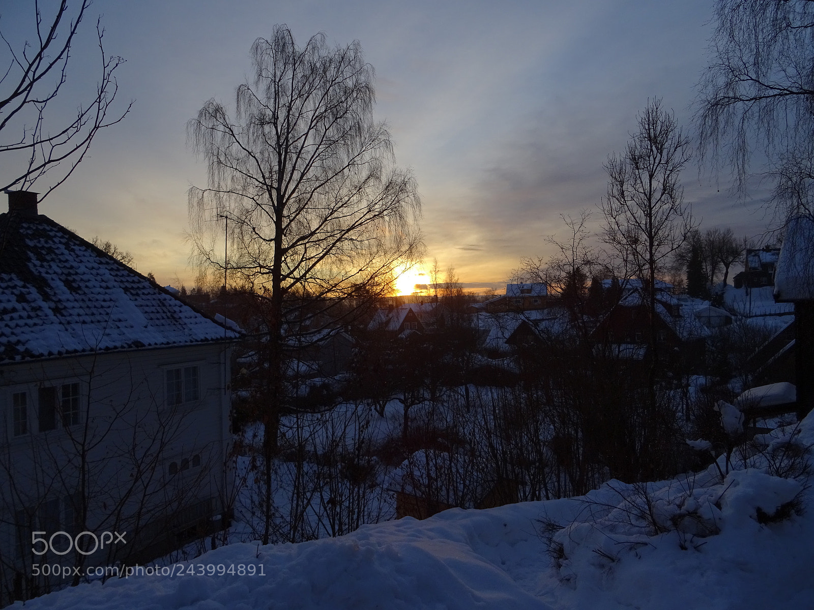 Sony DSC-HX60 sample photo. Morning sun photography