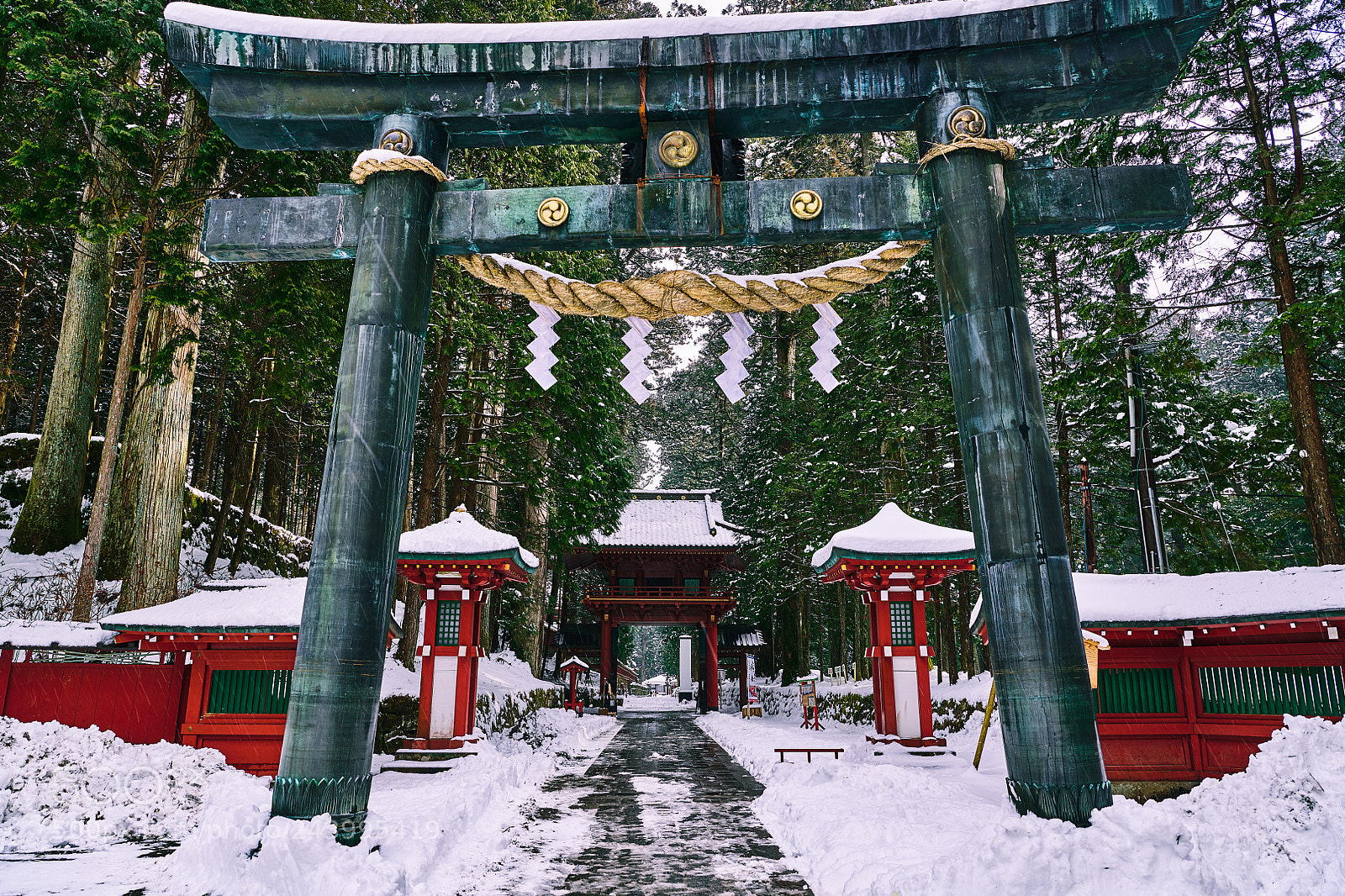Nikon D850 sample photo. Torii and the shrine photography