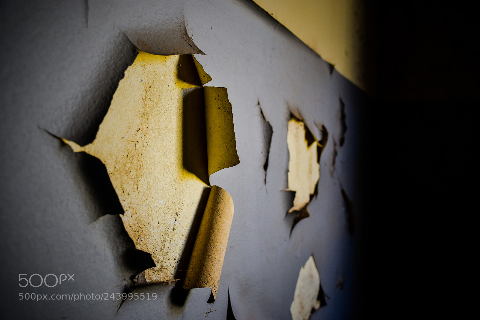 Nikon D5500 sample photo. Untitled photography