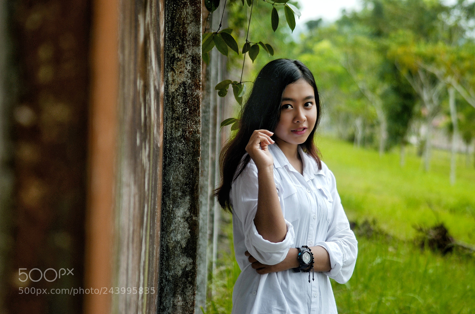 Nikon D5100 sample photo. Untitled photography