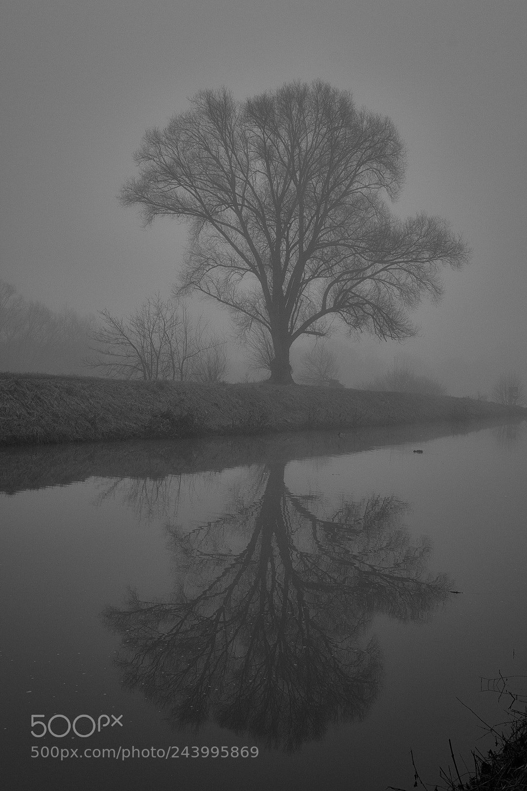 Canon EOS 60D sample photo. Saar im nebel photography