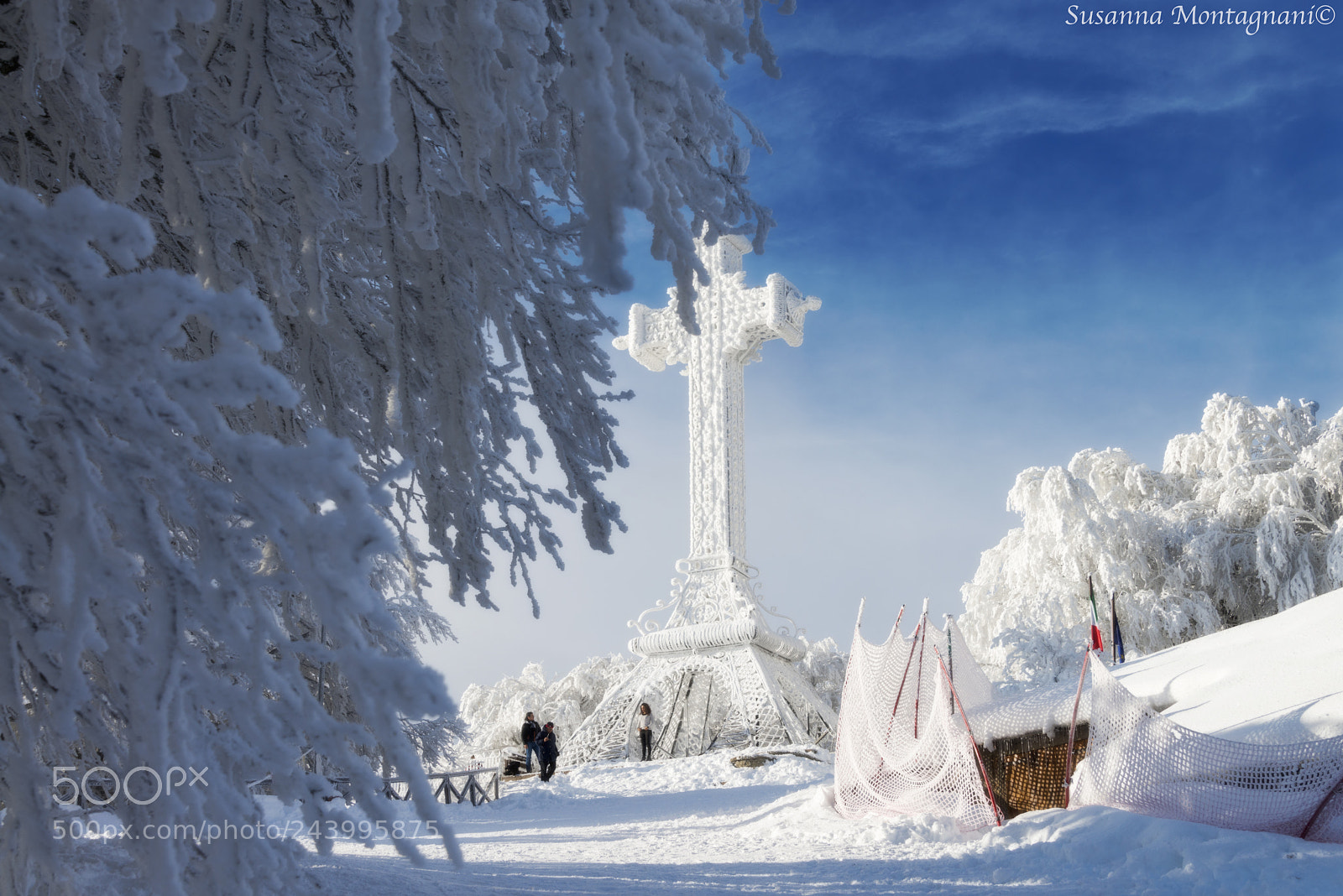 Nikon D800 sample photo. Winter cross photography