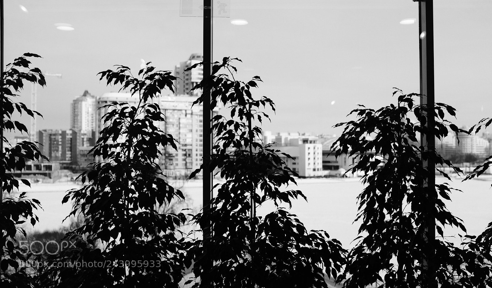 Fujifilm X100F sample photo. Looking at a cool photography