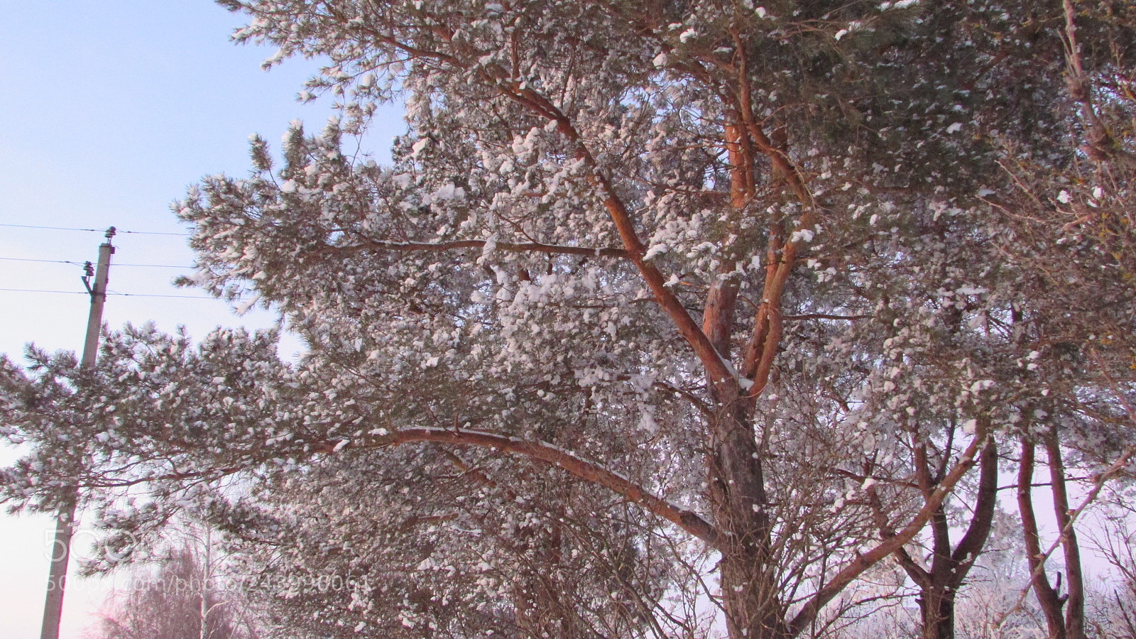Canon PowerShot SX400 IS sample photo. [] photography