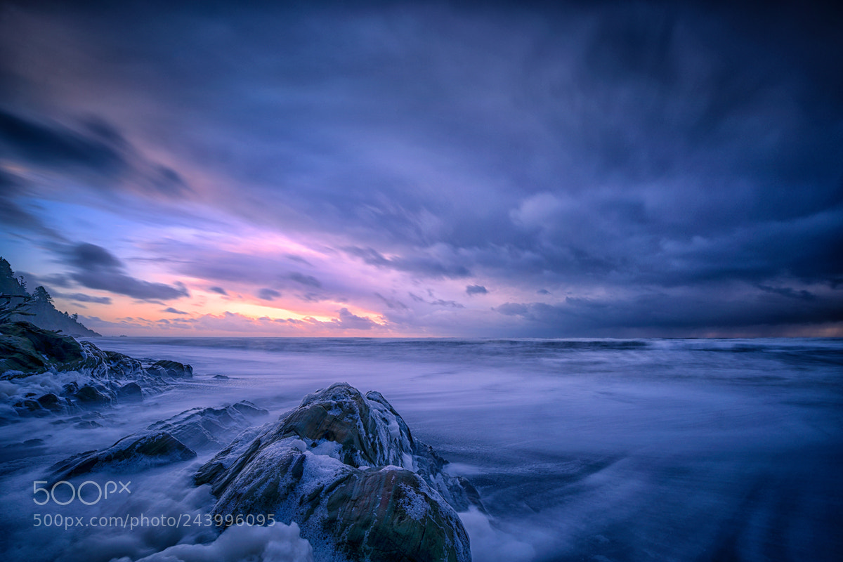 Nikon D810 sample photo. Otherworldly beach 4 photography
